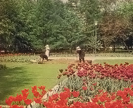 A Snapshot of Soviet Life